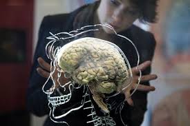 Barbara Tversky Phd - Mind in Motion: How Action Shapes Thought
