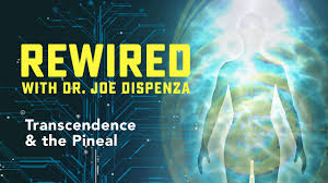 Joe Dispenza - Rewired Episode 1: Introduction to Your Brain