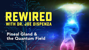 Joe Dispenza - Rewired Episode 10: Pineal Gland & the Quantum Field
