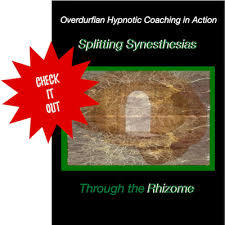 John Overdurf – Splitting Synesthesias Within The Rhizome