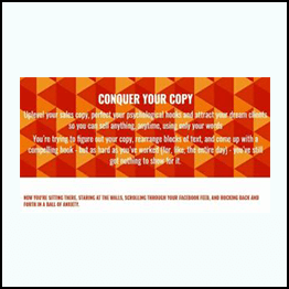 Lauren Vanessa Zink – Conquer Your Copy