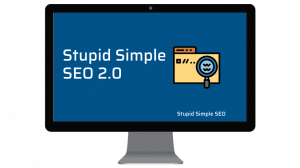 Mike Pearson – Stupid Simple SEO Advanced