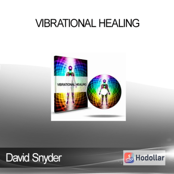 David Snyder - Vibrational Healing