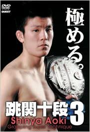 Shinya Aoki - Grappling Super Technique