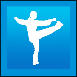 56 Form Chen Family Taiji Quan