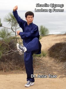 Master Tsao - Shaolin Qigong Luohan 13 Forms