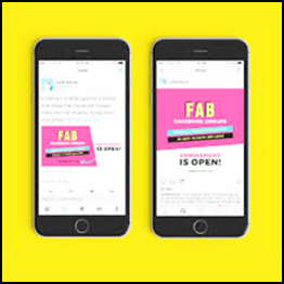 Caitlin Bacher - The Fab Facebook Group System 1.0