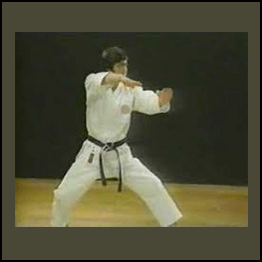 Hirokazu Kanazawa - Mastering Karate Dan-Kata NTSC TUTORIAL