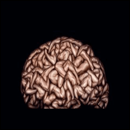 PJ Eby - Flexing Your Mental Muscles
