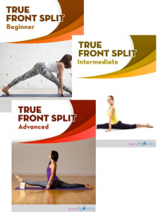 Paul Zaichik - Easy Flexibility - True Front Split