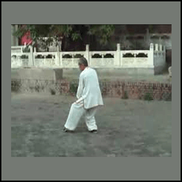 Qiao Xiuchuan - Da Bei Quan (Great Compassion Boxing)
