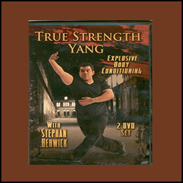 Stephan Berwick - True Strength Yang