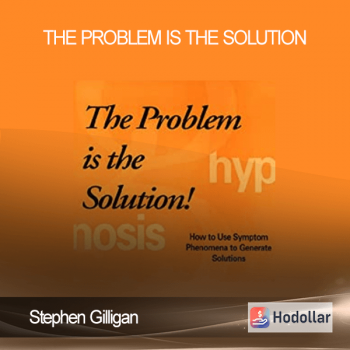 Stephen Gilligan-The Problem Is The Solution