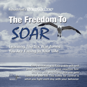 Richard Flint - The Freedom To Soar