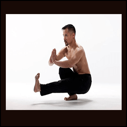 The Kettlebell Warrior Applied Combat Kettlebells for Maximum Martial Power
