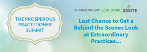 V.A. - Prosperous Practitioner Summit