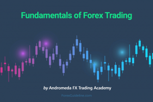 Fundamentals Of Forex Trading - Andromeda FX Trading Academy