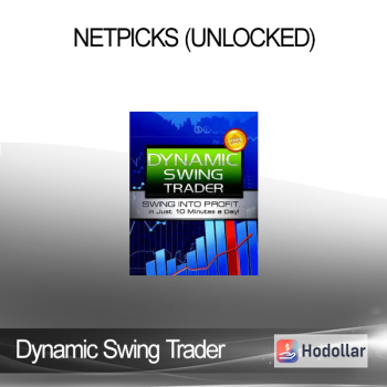 Dynamic Swing Trader - NETPICKS (Unlocked)