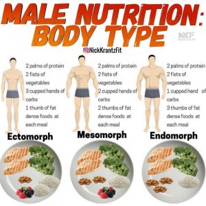 Male Fitness & Nutrition Plan