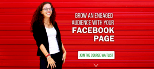 Moolah - Facebook Page Strategies course