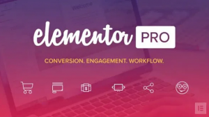 Elementor Pro - Improve Every Aspect of Your WordPress Design Live Easy and Fun
