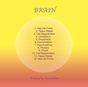 Sound Healing Center - Brain