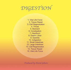 Sound Healing Center - Digestion