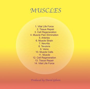 Sound Healing Center - Muscles