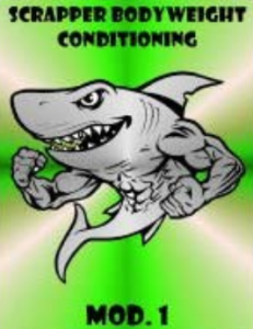 SCRAPPER Bodyweight Conditioning Mod. 1 [Audio -103 mp3,1 png, Video -lmp4, ebook]