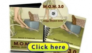 Kenrick Cleveland - Meta Model - Rare Persuasion Secrets from The MaxP Vault