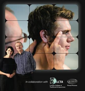 How to Locate Acupuncture Points-The Definitive DVD