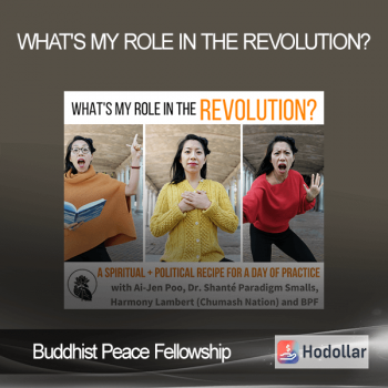 Buddhist Peace Fellowship - What's My Role in the Revolution?