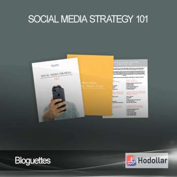 Bloguettes - Social Media Strategy 101