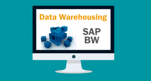 Jose Aldemar Cortes - SAP BW: Avanzado
