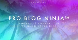 Gabriela Higa - Pro Blog Ninja (Cursos de Gabriela Higa 2020)