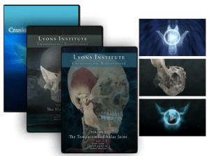 Lyon Institute - CranioSacral - Hard Palate and TMJ