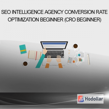 SEO Intelligence Agency - Conversion Rate Optimization Beginner (CRO Beginner)
