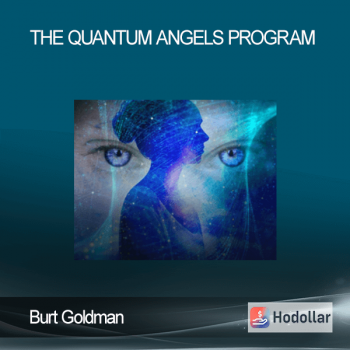 Burt Goldman - The Quantum Angels Program