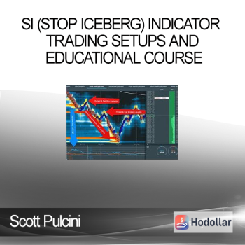 Scott Pulcini - SI (STOP ICEBERG) Indicator Trading Setups and Educational Course