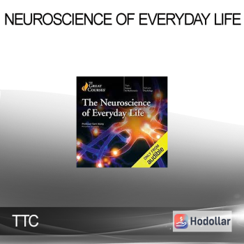 TTC - Neuroscience of Everyday Life