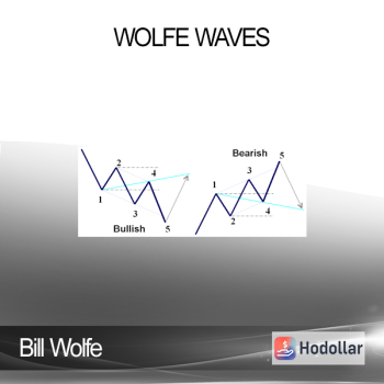 Bill Wolfe - Wolfe Waves