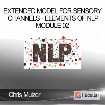 Chris Mulzer - Extended Model for Sensory Channels - Elements of NLP - Module 02