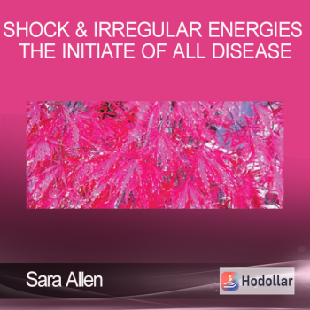 Sara Allen - Shock & Irregular Energies The Initiate of All Disease