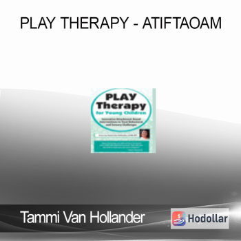 Tammi Van Hollander - Play Therapy - ATIFTAOAM