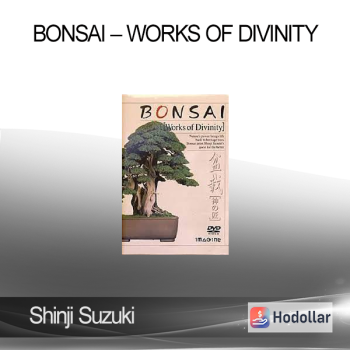 Shinji Suzuki – Bonsai – Works of Divinity