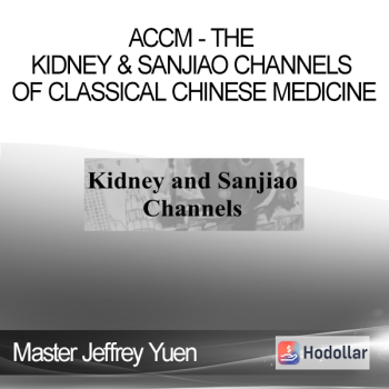 Master Jeffrey Yuen - ACCM - The Kidney & Sanjiao Channels of Classical Chinese Medicine