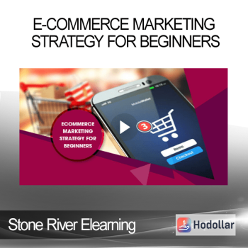 Stone River Elearning - E-Commerce Marketing Strategy For Beginners
