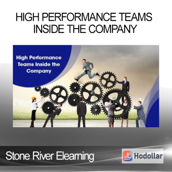 Stone River Elearning - High Performance Teams Inside the Company