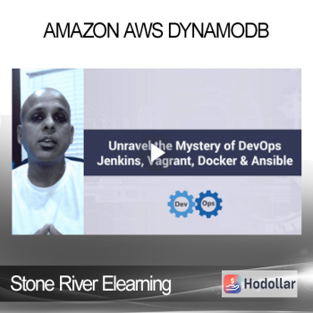 Stone River Elearning - Amazon AWS DynamoDB