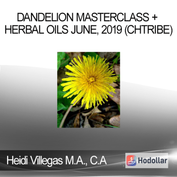 Heidi Villegas M.A. C.A - Dandelion Masterclass + Herbal Oils June 2019 (CHTribe)